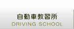 DRIVING SCHOOL